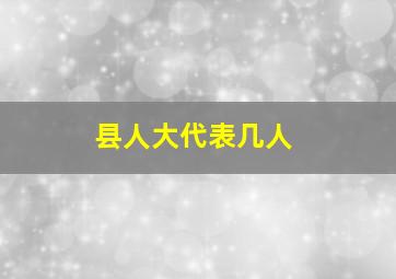 县人大代表几人