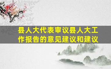 县人大代表审议县人大工作报告的意见建议和建议