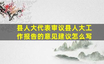 县人大代表审议县人大工作报告的意见建议怎么写