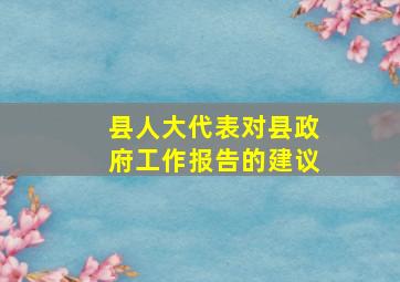 县人大代表对县政府工作报告的建议