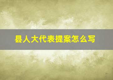 县人大代表提案怎么写