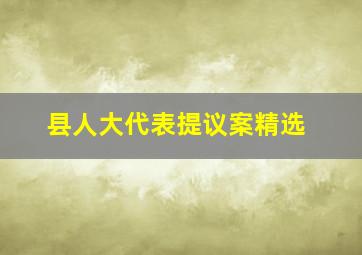 县人大代表提议案精选