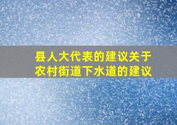 县人大代表的建议关于农村街道下水道的建议