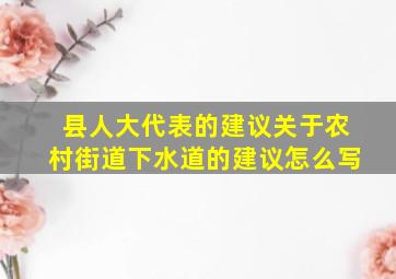 县人大代表的建议关于农村街道下水道的建议怎么写