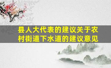 县人大代表的建议关于农村街道下水道的建议意见