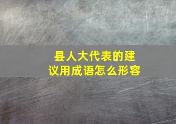 县人大代表的建议用成语怎么形容