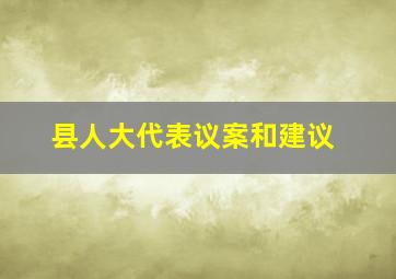 县人大代表议案和建议