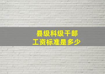 县级科级干部工资标准是多少