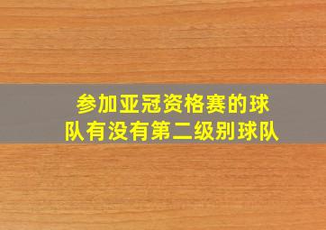 参加亚冠资格赛的球队有没有第二级别球队