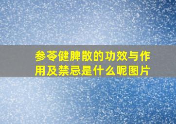 参苓健脾散的功效与作用及禁忌是什么呢图片