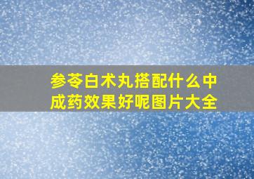 参苓白术丸搭配什么中成药效果好呢图片大全