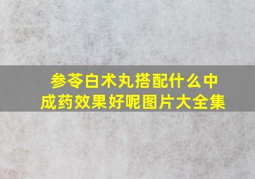 参苓白术丸搭配什么中成药效果好呢图片大全集