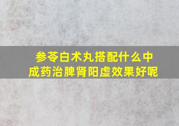 参苓白术丸搭配什么中成药治脾肾阳虚效果好呢