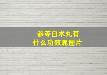 参苓白术丸有什么功效呢图片