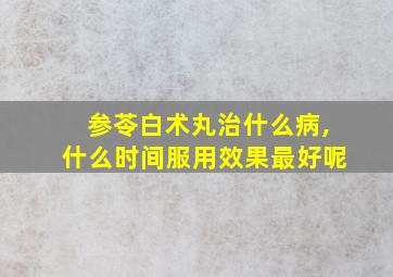 参苓白术丸治什么病,什么时间服用效果最好呢