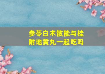 参苓白术散能与桂附地黄丸一起吃吗