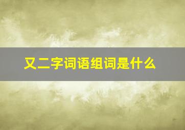 又二字词语组词是什么