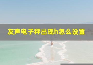 友声电子秤出现h怎么设置