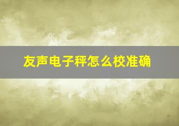 友声电子秤怎么校准确