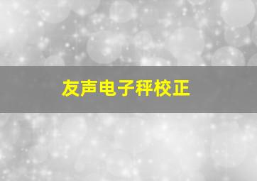 友声电子秤校正