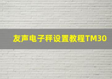 友声电子秤设置教程TM30