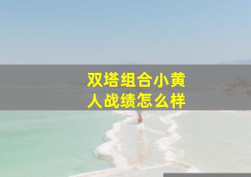 双塔组合小黄人战绩怎么样