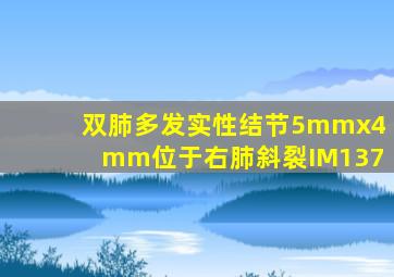 双肺多发实性结节5mmx4mm位于右肺斜裂IM137