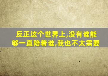 反正这个世界上,没有谁能够一直陪着谁,我也不太需要