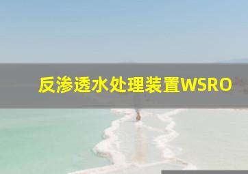 反渗透水处理装置WSRO