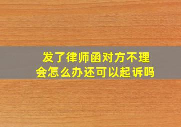 发了律师函对方不理会怎么办还可以起诉吗