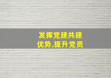 发挥党建共建优势,提升党员