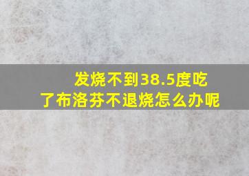 发烧不到38.5度吃了布洛芬不退烧怎么办呢