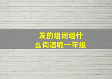 发的组词组什么词语呢一年级