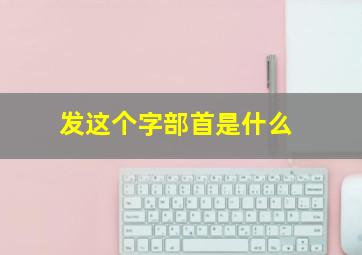 发这个字部首是什么