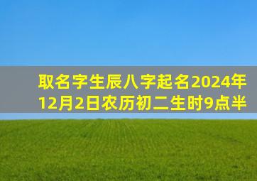 取名字生辰八字起名2024年12月2日农历初二生时9点半