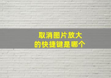 取消图片放大的快捷键是哪个