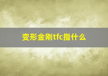 变形金刚tfc指什么