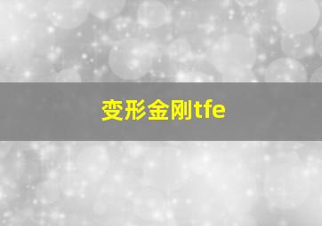 变形金刚tfe