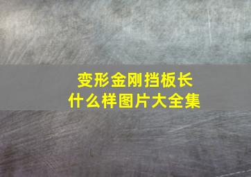 变形金刚挡板长什么样图片大全集