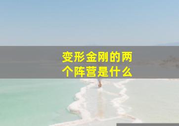 变形金刚的两个阵营是什么