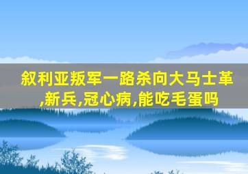 叙利亚叛军一路杀向大马士革,新兵,冠心病,能吃毛蛋吗