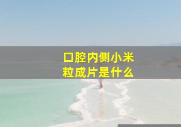 口腔内侧小米粒成片是什么