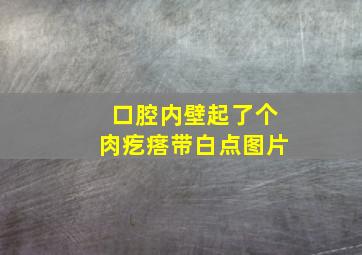 口腔内壁起了个肉疙瘩带白点图片