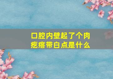 口腔内壁起了个肉疙瘩带白点是什么