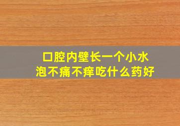 口腔内壁长一个小水泡不痛不痒吃什么药好