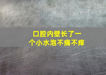 口腔内壁长了一个小水泡不痛不痒