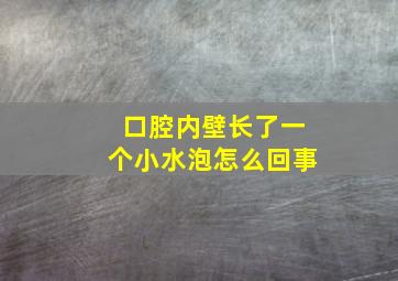 口腔内壁长了一个小水泡怎么回事