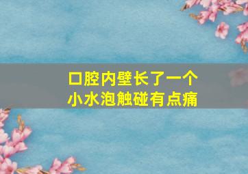 口腔内壁长了一个小水泡触碰有点痛