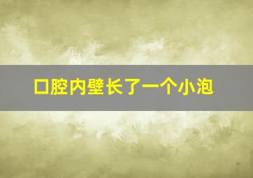 口腔内壁长了一个小泡