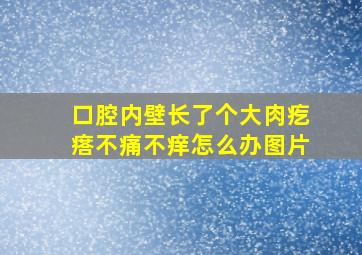 口腔内壁长了个大肉疙瘩不痛不痒怎么办图片